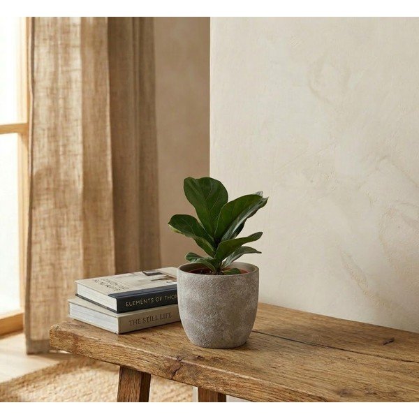 Posuda za cvijeće od terakote ø 16,5 cm Hector – Bizzotto-image-1