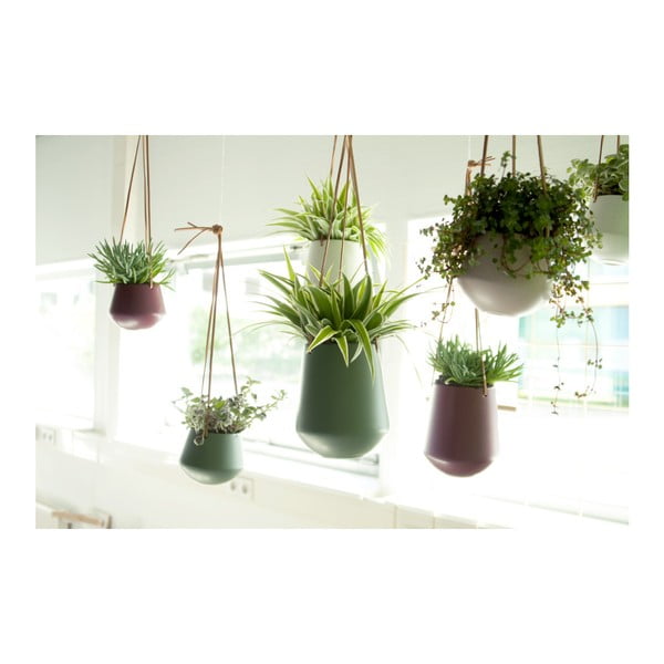 Keramičke viseće posude za cvijeće ø 12 cm Skittle – PT LIVING-image-3
