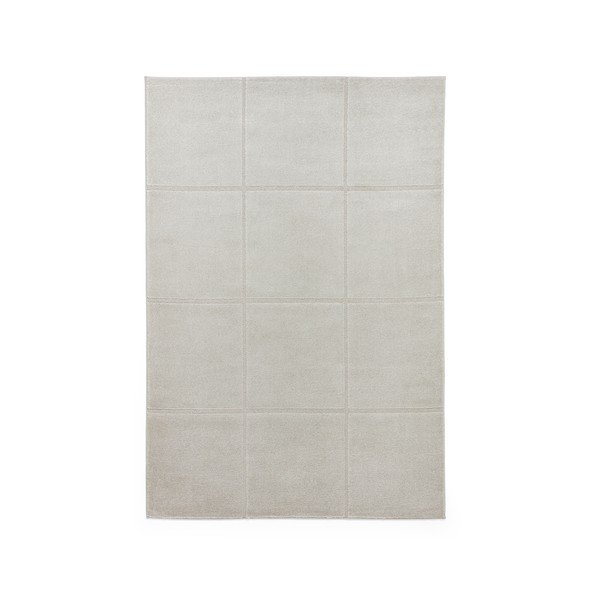 Svijetlo sivi tepih 120x170 cm Elio Silver – Think Rugs