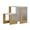 Dječji radni stol 50x34 cm Cube - Pinio
