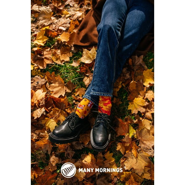 Čarape mnogo jutra vjeverice, Vel. 35-38-image-2