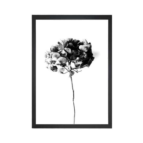 Poster Tablo Center Velvet Flower, 24 x 29 cm