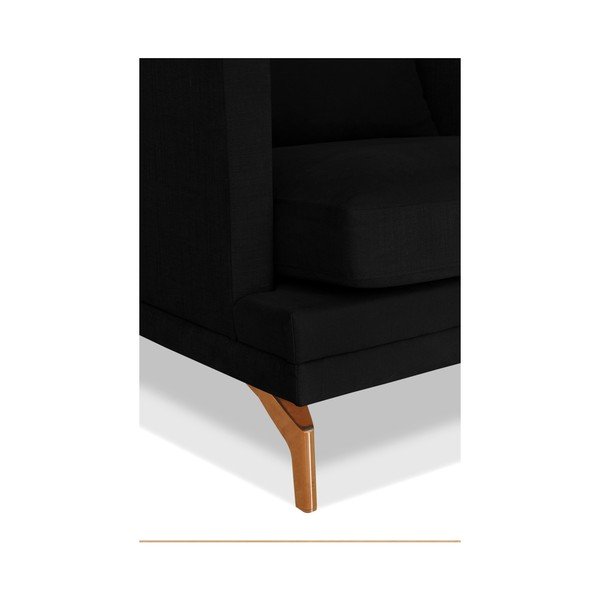 Windsor &amp; Co. crna fotelja Sofe Jupiter-image-2