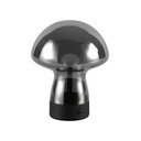 Siva LED stolna lampa sa staklenim sjenilom (visina 18 cm) Dooley – Reality