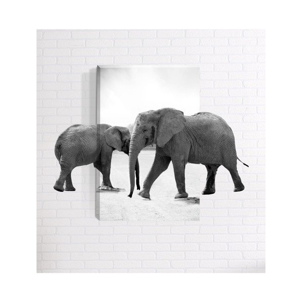 Zidna 3D slika Mosticx Elephant, 40 x 60 cm