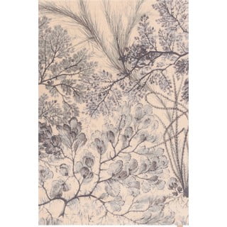Mentol zeleni/bež vuneni tepih 170x240 cm V&A Calisia Kelp – Agnella