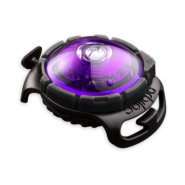 LED svjetlo za ovratnik Purple - Orbiloc