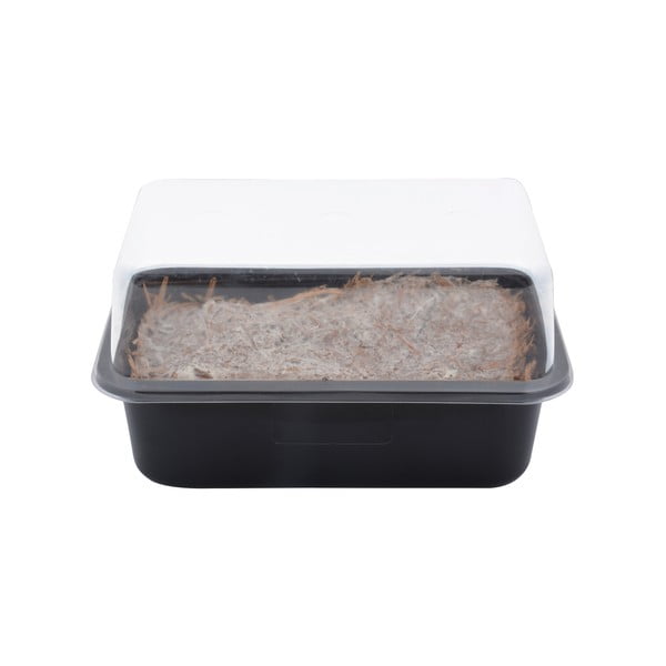 Vreća za uzgoj Field Mushroom – Esschert Design-image-3