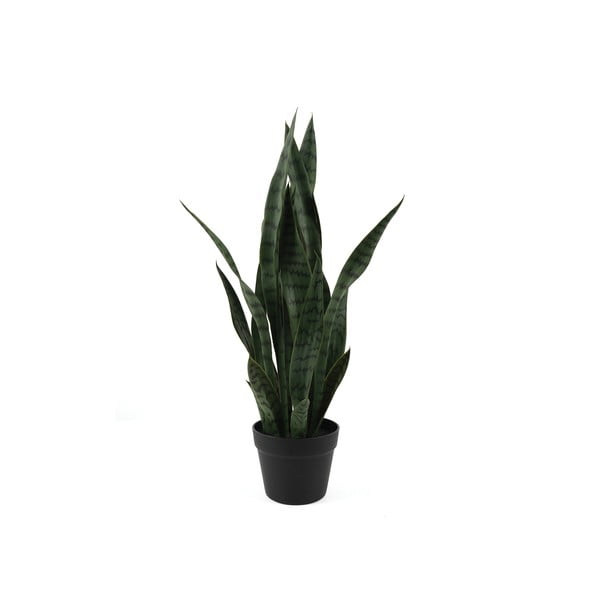 Umjetna suha biljka (visina 66 cm) Sansevieria – PT LIVING