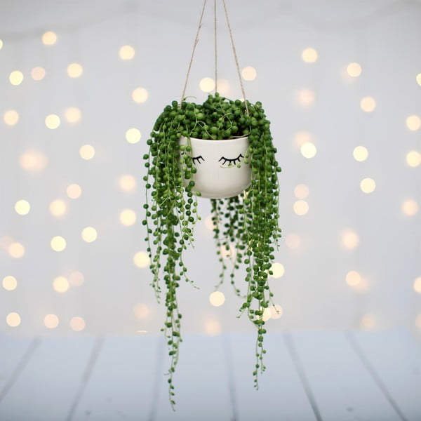 Viseća teglaza cvijeće Sass & Belle Eyes Shut-image-2