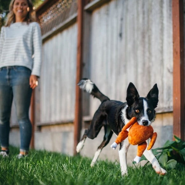 Igračka za psa Puretina - P.L.A.Y.-image-1