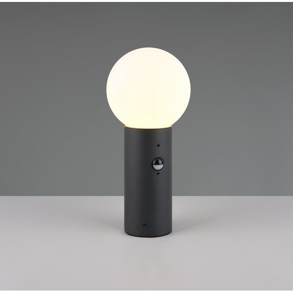 Stojeća vanjska svjetiljka sa senzorom pokreta ø 18 cm Mures – Trio-image-1