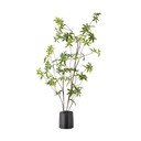 Umjetna biljka (visina 160 cm) Palmatum – Bloomingville