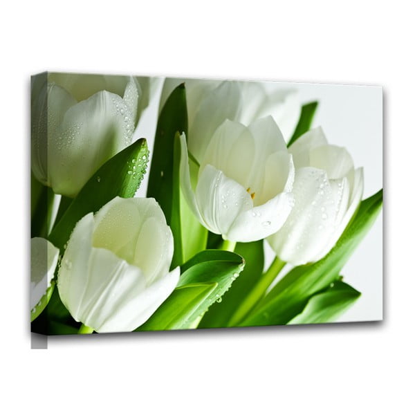 Slika Styler Canvas White Tulipani, 60 x 80 cm