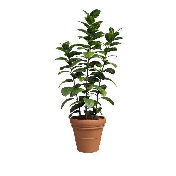 Tegla za cvijeće od terakote ø 47 cm Mariza – Artevasi-image-4