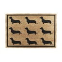 Otirač od kokosovih vlakana 40x60 cm Dachshund – Artsy Doormats