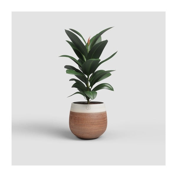 Keramička ručno rađena tegla za cvijeće ø 20 cm Antheia – Artevasi-image-1