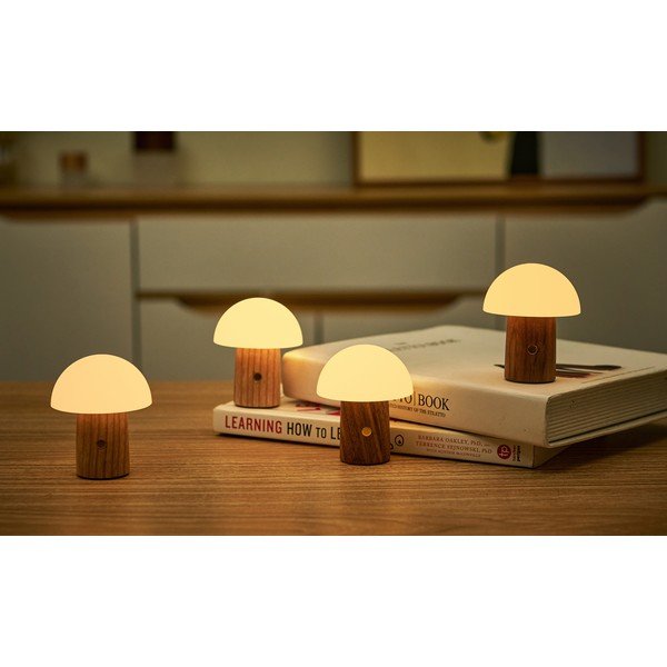 LED stolna lampa od čvrste jeseni s mogućnosti zatamnjivanja u prirodnoj boji (visina 7 cm) Alice – Gingko-image-1