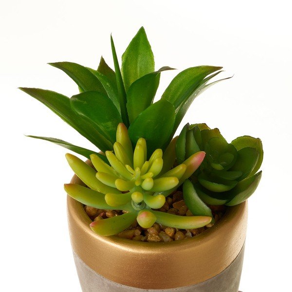 Umjetne biljke u setu 4 kom (visina 17 cm) Cactus – Casa Selección-image-4