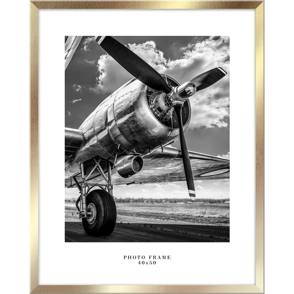 Zidni okvir u zlatnoj boji Styler Florida, 43 x 53 cm