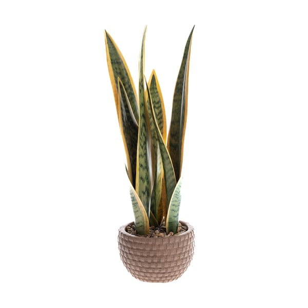 Umjetna biljka (visina 35 cm) – Dakls