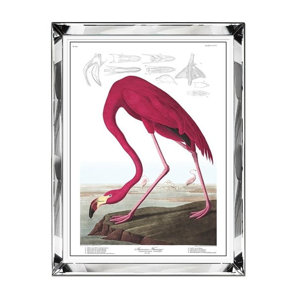Zidna slika JohnsonStyle The Flamingo, 71 x 91 cm