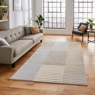 Sivo-zlatni tepih 170x120 cm Apollo - Think Rugs