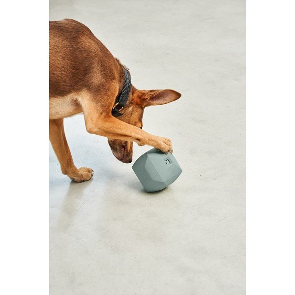 Igračka za psa Dado Eucalyptus – MiaCara-image-2