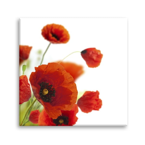 Slika Styler Glas Maki Poppies, 30 x 30 cm