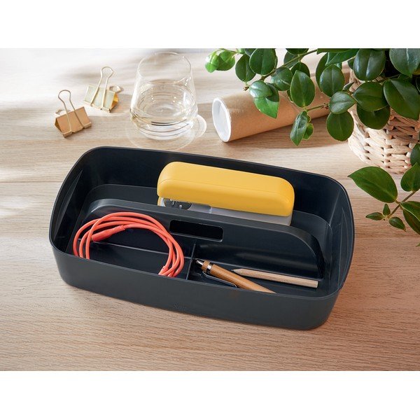 Sivi organizator s ručkom Leitz MyBox-image-2