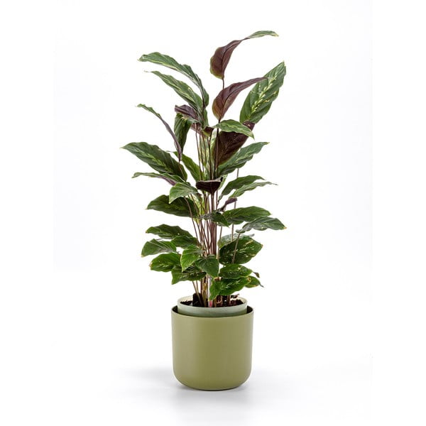 Zelena samozalijevajuća tegla Plastia Tolita, ø 16 cm-image-1