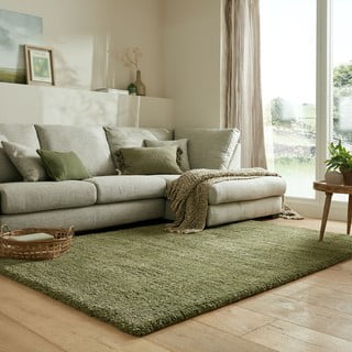 Zeleni tepih 120x170 cm – Flair Rugs