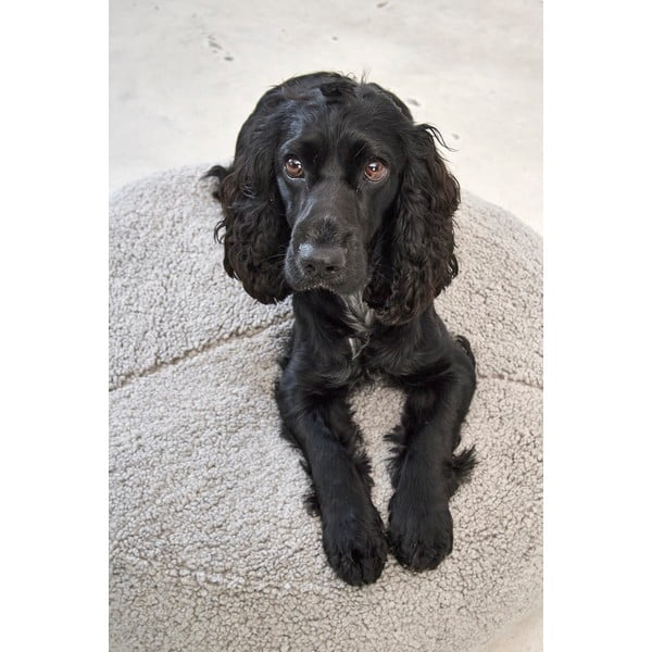 Sivi krevet za pse od boucle tkanine ø 90 cm Senso Pouffe Pebble M/L – MiaCara-image-2