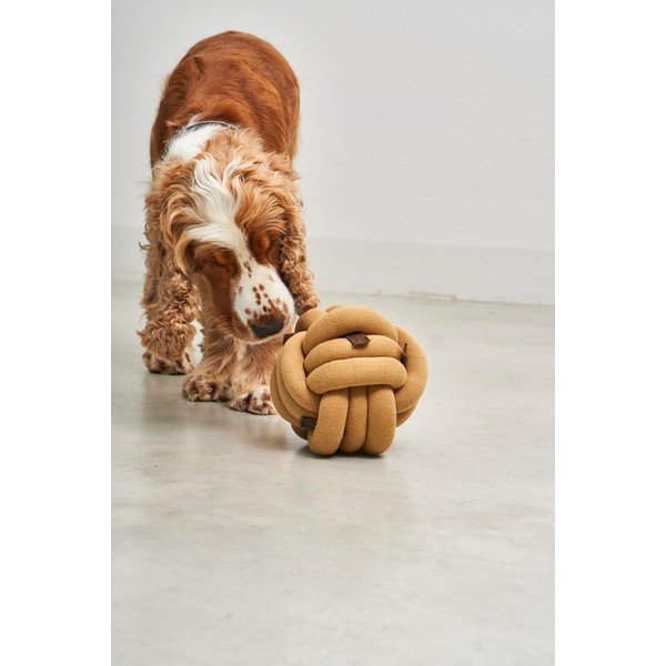 Igračka za psa Tubo Curry – MiaCara-image-3