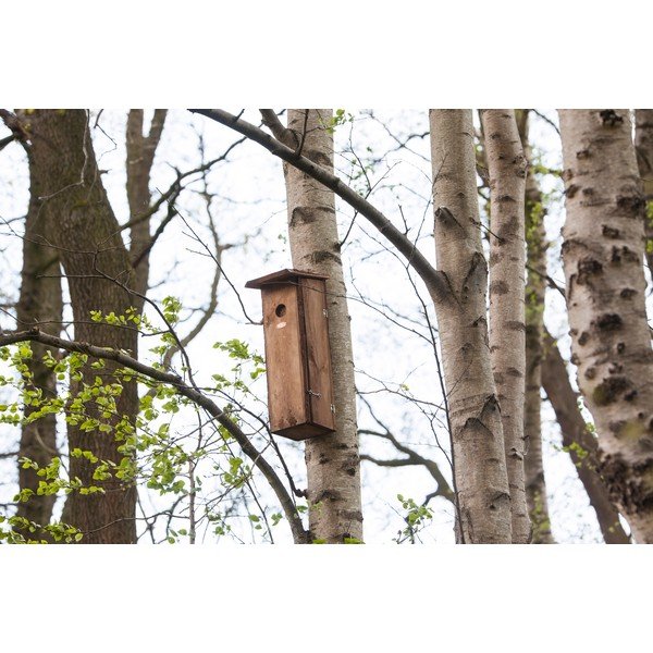 Drvena kućica za ptice – Esschert Design-image-1