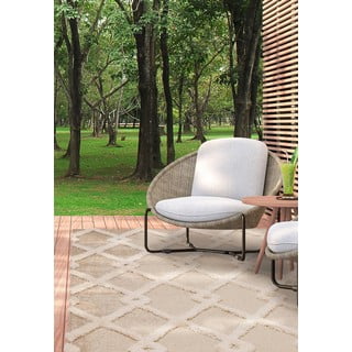 Krem vanjski tepih 160x230 cm Monty – Asiatic Carpets