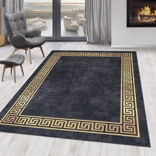 Antracitno sivi periv tepih 120x170 cm Fiesta – Ayyildiz Carpets