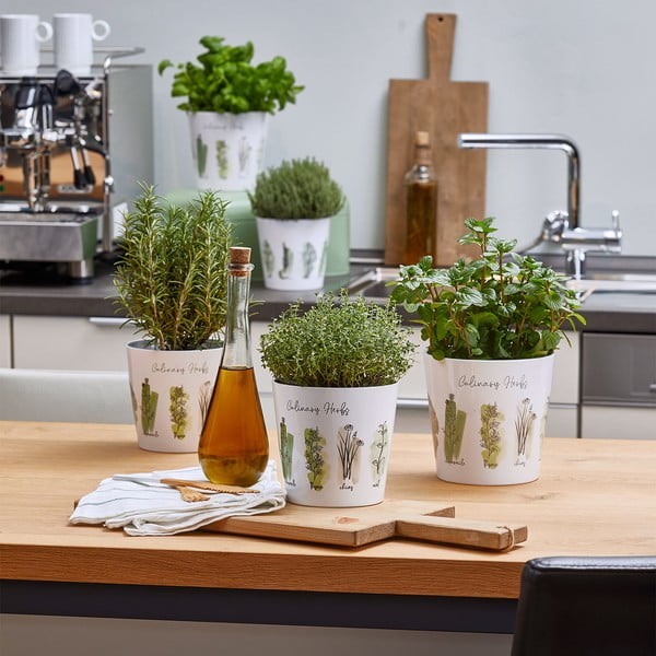 Keramičke posude za cvijeće u setu od 2 komada ø 14 cm Dalllas Culinary - Big pots-image-2