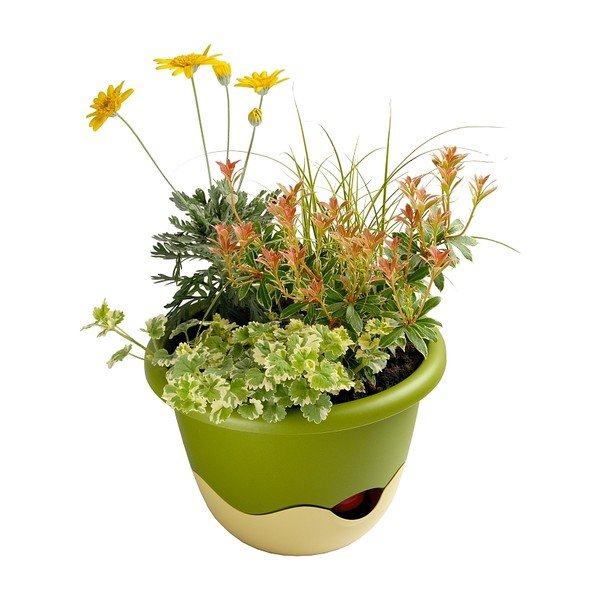 Zeleno-bijela samozalijevajuća tegla pogodna za vješanje Plastia Mareta, dužina 25 cm-image-2
