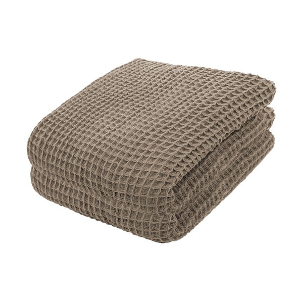 Smeđi pamučni pokrivač za krevet Tiseco Home Studio, 250 x 260 cm