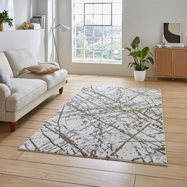 Svijetlo sivi/u zlatnoj boji tepih 80x150 cm Artemis – Think Rugs-image-1
