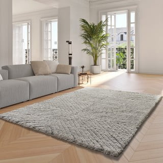 Svijetlo sivi tepih 160x230 cm Atesa – Universal