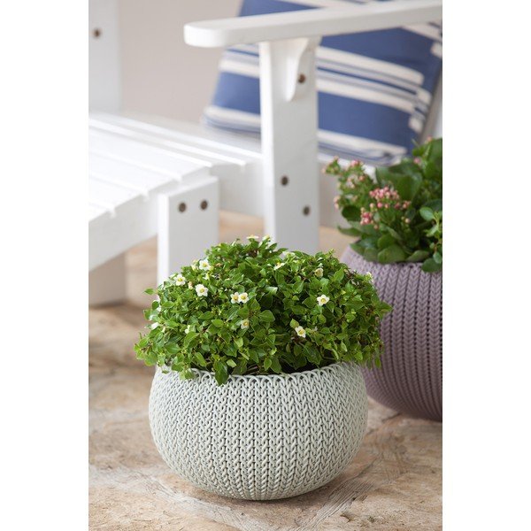 Plastična viseća i zidna posuda za cvijeće ø 36 cm Cozy – Keter-image-3