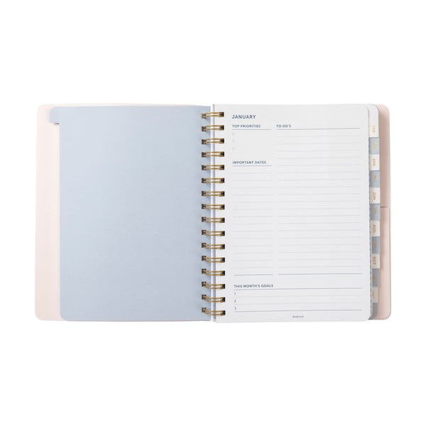 Dnevnik - Busy B-image-4