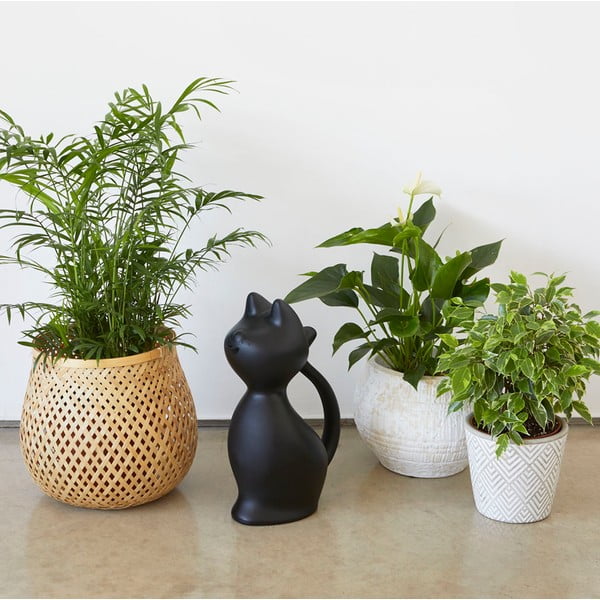 Plastična kanta za vodu 2 l Meow – Balvi-image-1