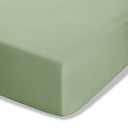 Zelena plahta s gumom od perkala 90x190 cm Easy Iron Percale – Catherine Lansfield