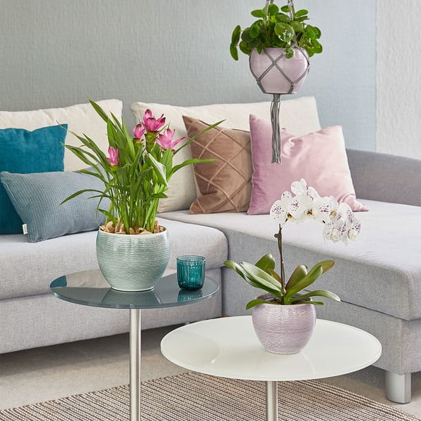 Keramička posuda za cvijeće ø 22 cm Manacor Deluxe - Big pots-image-1