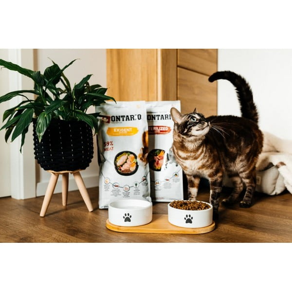 Keramički set posuda s postoljem za pse ø 13 cm Dog Fantasy – Plaček Pet Products-image-1