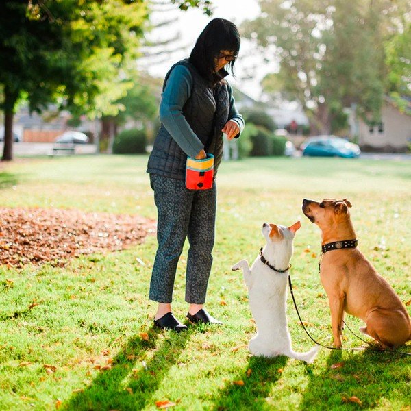 Vrećica za poslastice Deluxe Sunrise - P.L.A.Y.-image-1