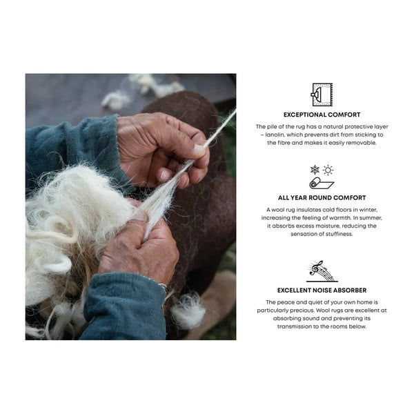 Smeđi vuneni tepih 230x340 cm Astrid – Agnella-image-4